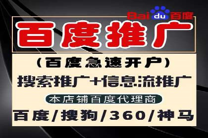 搜索引擎广告（SEM）在本地化推广中的运用案例